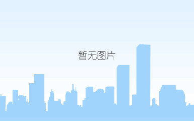 法人说明会